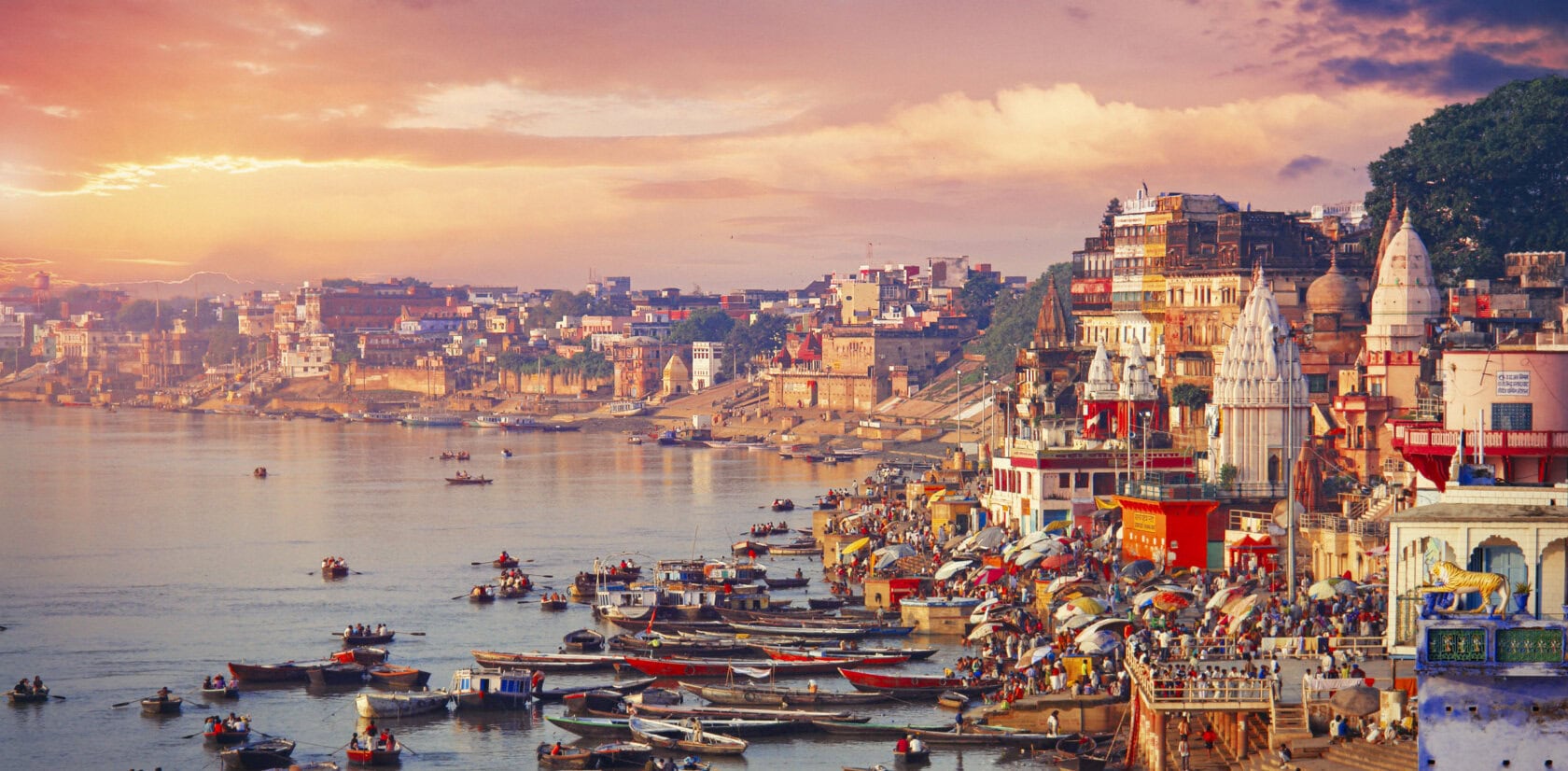 india03